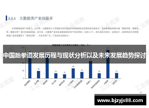 中国跆拳道发展历程与现状分析以及未来发展趋势探讨