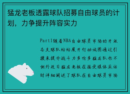 猛龙老板透露球队招募自由球员的计划，力争提升阵容实力