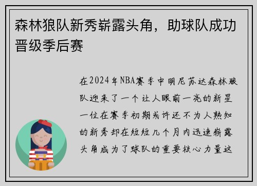 森林狼队新秀崭露头角，助球队成功晋级季后赛